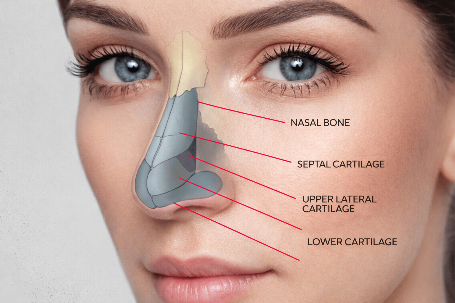 Rhinoplasty Surgery